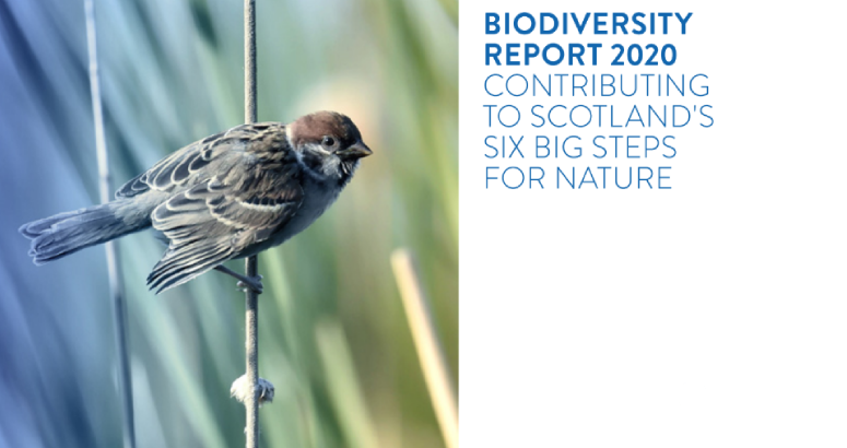 Biodiversity